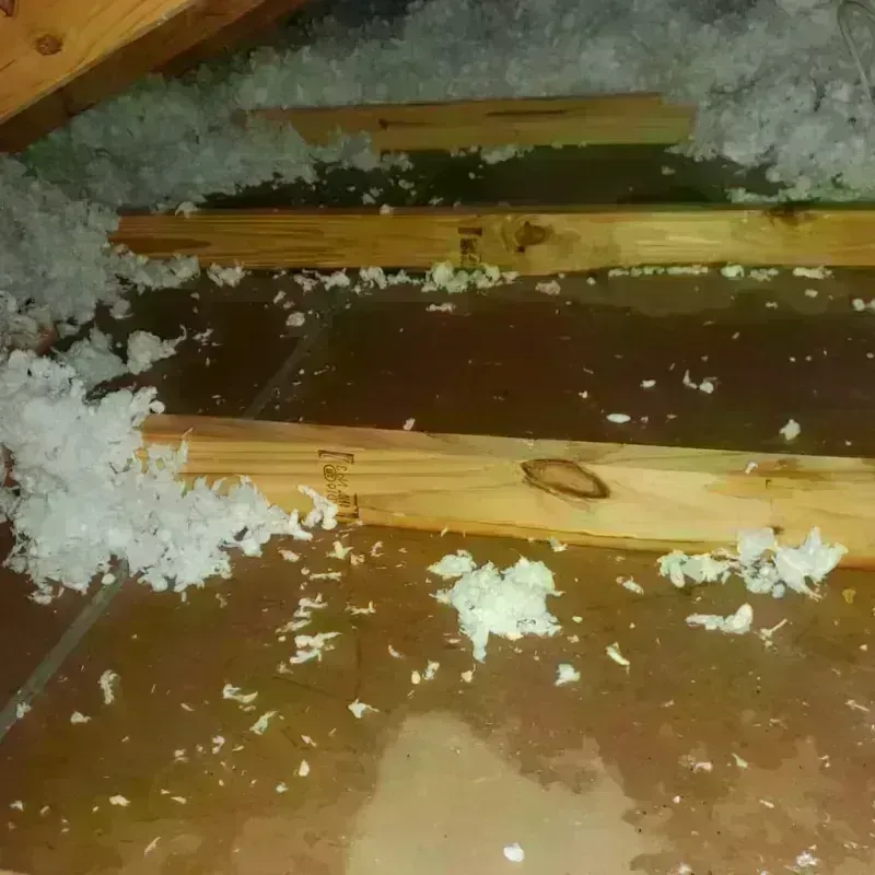 Attic Water Damage in Kenmare, ND